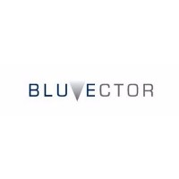 BluVector - Emerging IT Security Vendor 2017