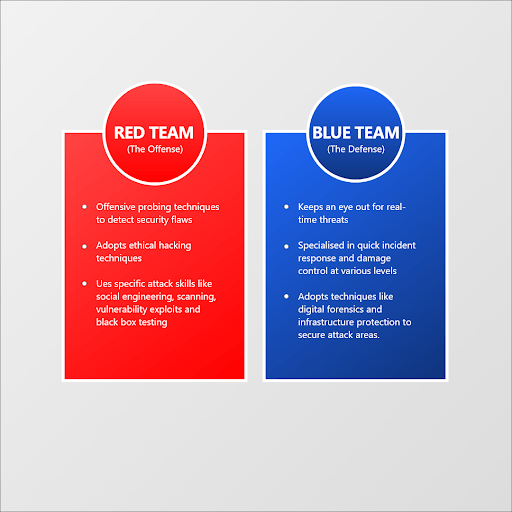 red team blue team