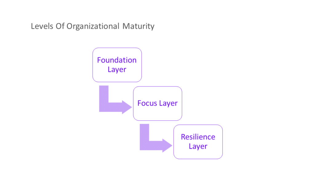 Maturity assessment