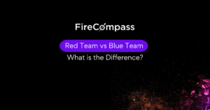 Red Team vs Blue Team What is the Difference